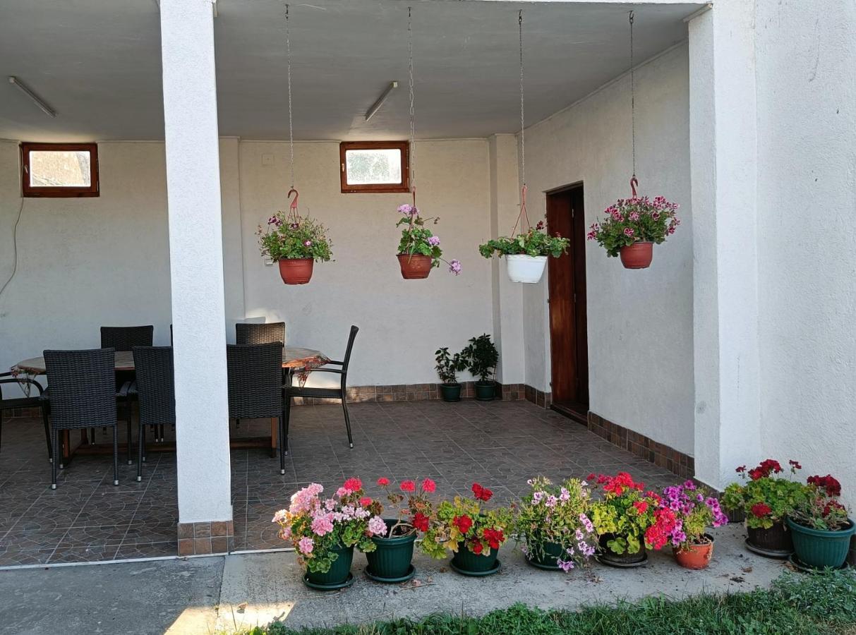 Privatna Soba Dusan Surčin Exteriör bild